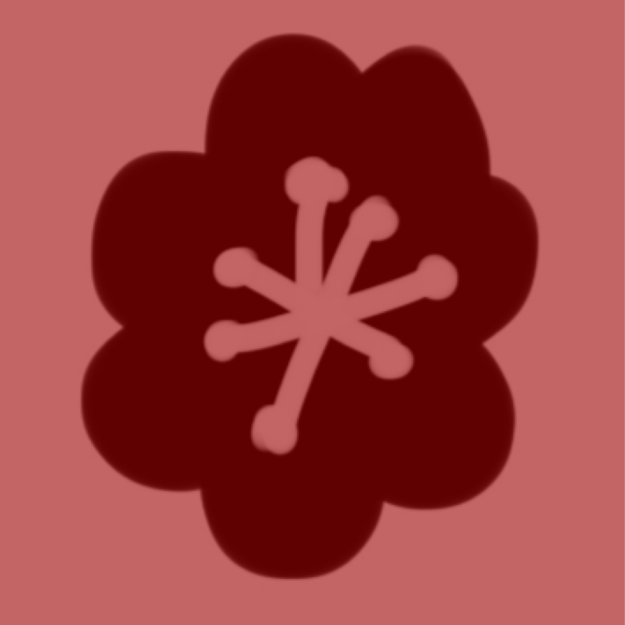Red Opium Poppy, for Impetus!
