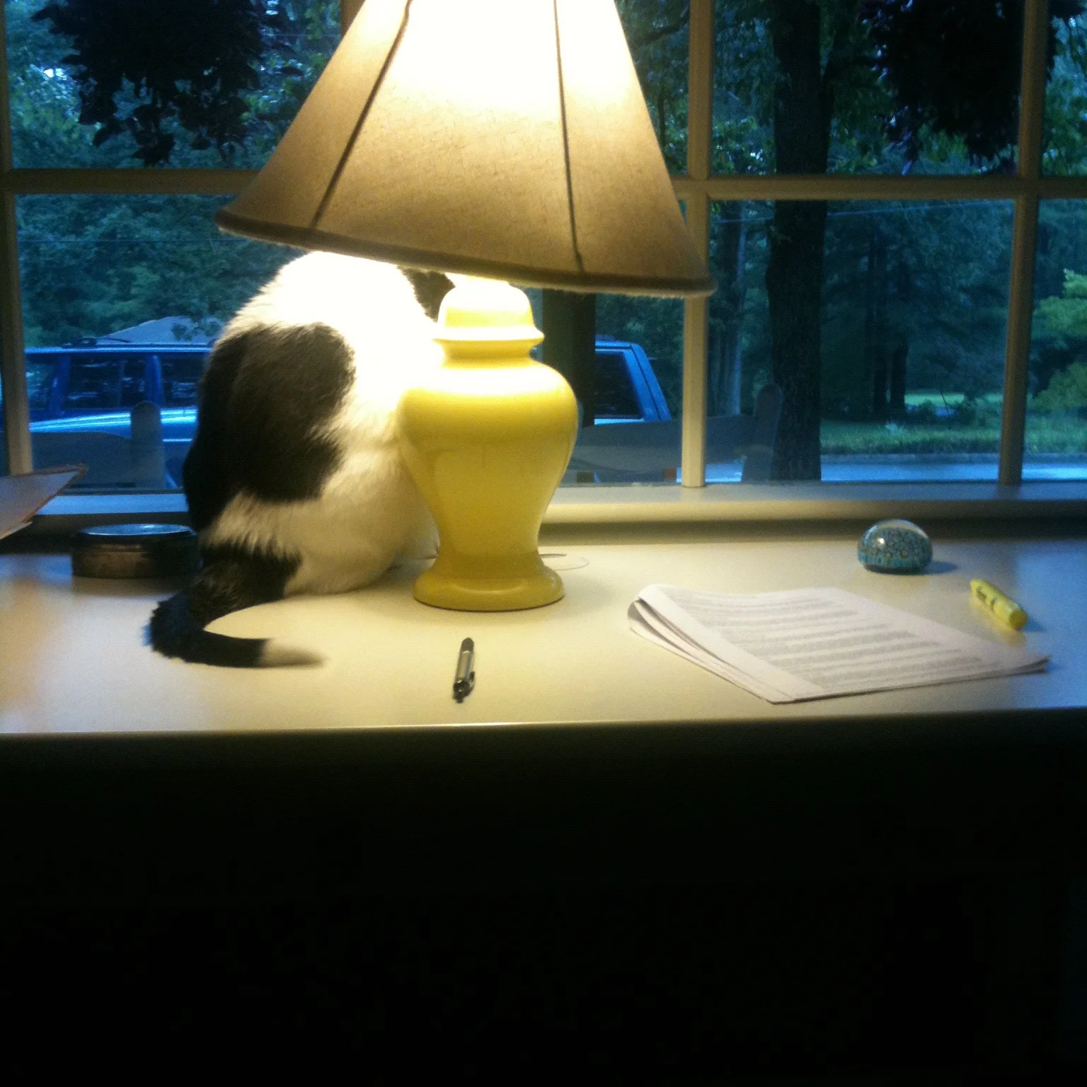 2012-08-04 07.53.39.jpg
