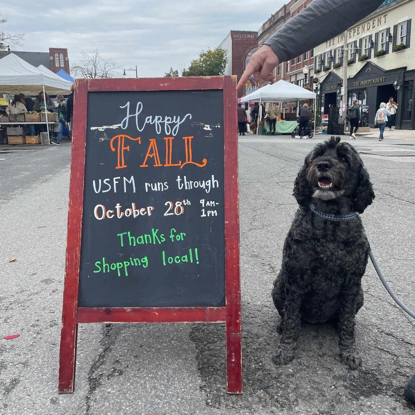 🐶💕MARKET PUP APPRECIATION💕🐶

With the dog days of summer behind us, take a look back at some of the four-legged shoppers spotted at the market this season 🔎🐕

We love seeing your well-behaved pups sniffing around the market each week ✨ and can'