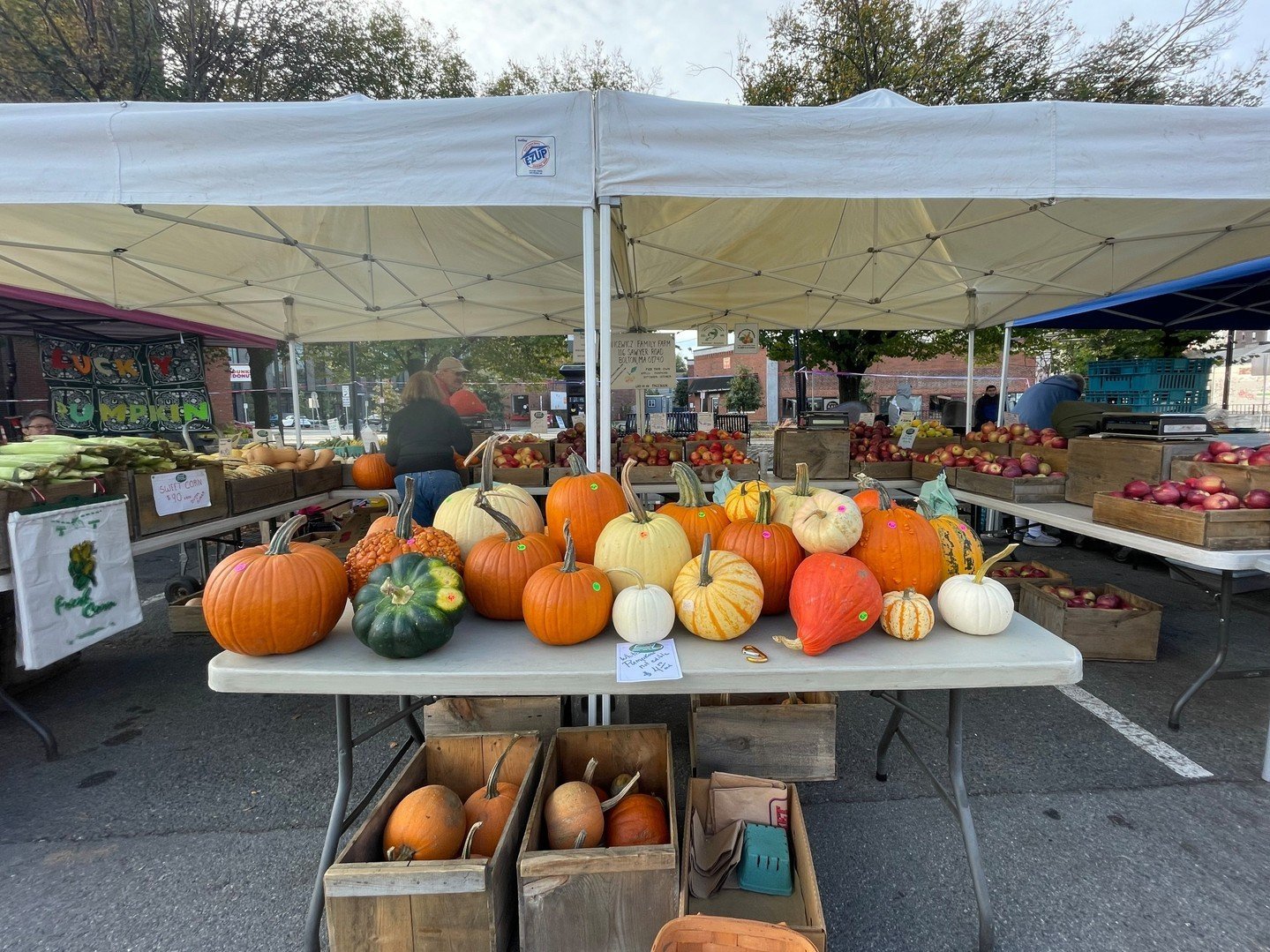 Coming at you with your weekly reminder that the farmers market is TOMORROW! 🥳🙌

Shop apples, beets, bok choy, broccoli, cabbage, carrots, cauliflower, celery, cucumbers, garlic, greens, leeks, mushrooms, onions, peppers, potatoes, pumpkins, scalli