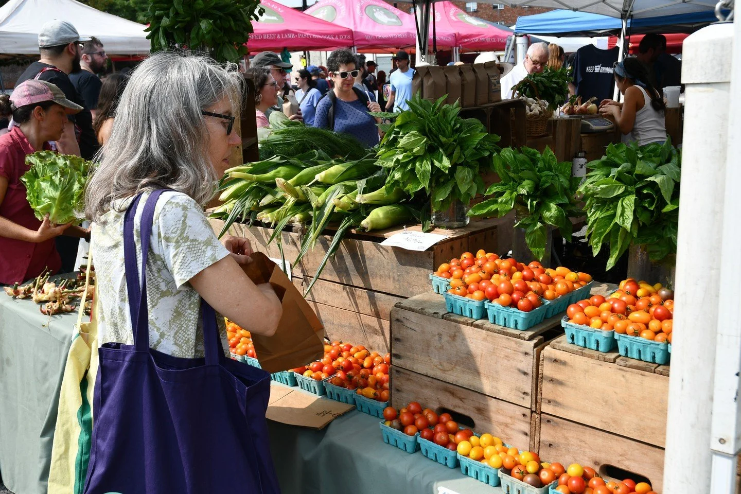 TOMORROW the Union Square Farmers Market is BACK with the best of late summer and early fall produce 🍎🥬🥕 

📍Union Square Plaza, 9am-1pm. Head to the link in bio for tomorrow's market map! 

 #loveunionsquare #weloveourmarket #knowyourfarmerknowyo