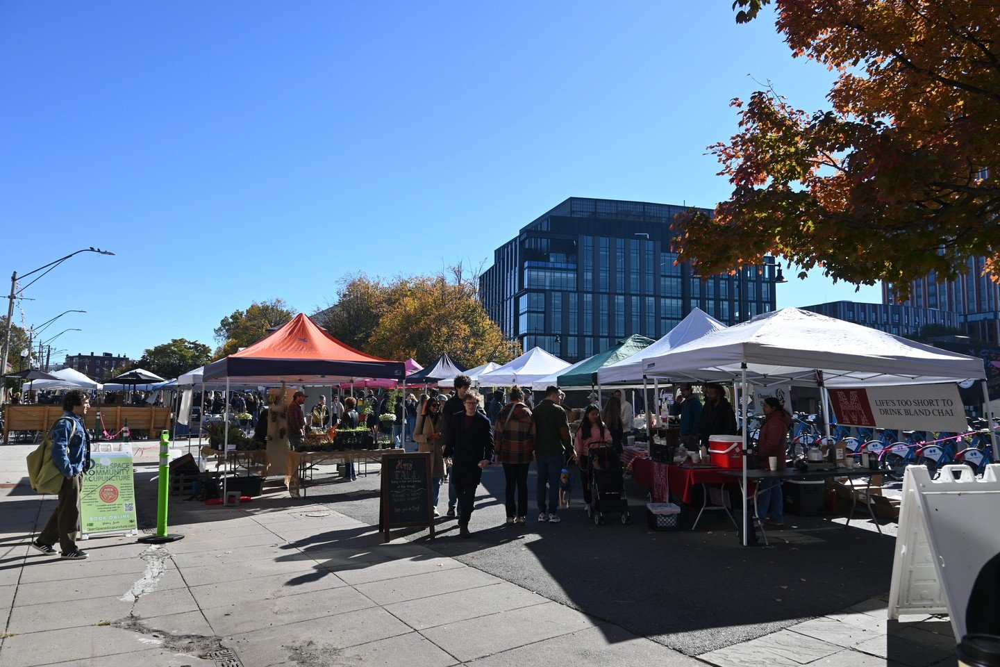 And just like that, the 2025 season has come to a close! 💚✨

A gigantic thank you to those who came out to shop small and support local growers and makers all season long 👏🎉👏🎉👏 

USFM wouldn't be half as vibrant without our loyal shoppers (and 