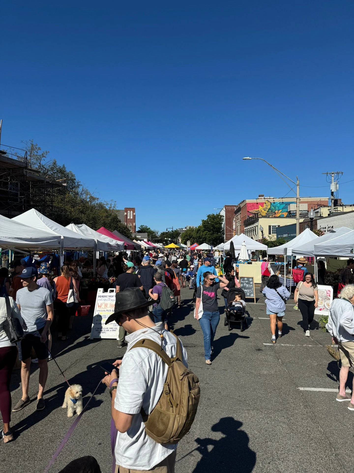 Looking forward to a sunny market day tomorrow! ☀️😎

After a great kickoff last weekend, week 2️⃣ of this season has lots to explore with ✨three✨ new vendors making their USFM debut 👏👏👏

Stop by 9am-1pm to give them a warm welcome to Union Square