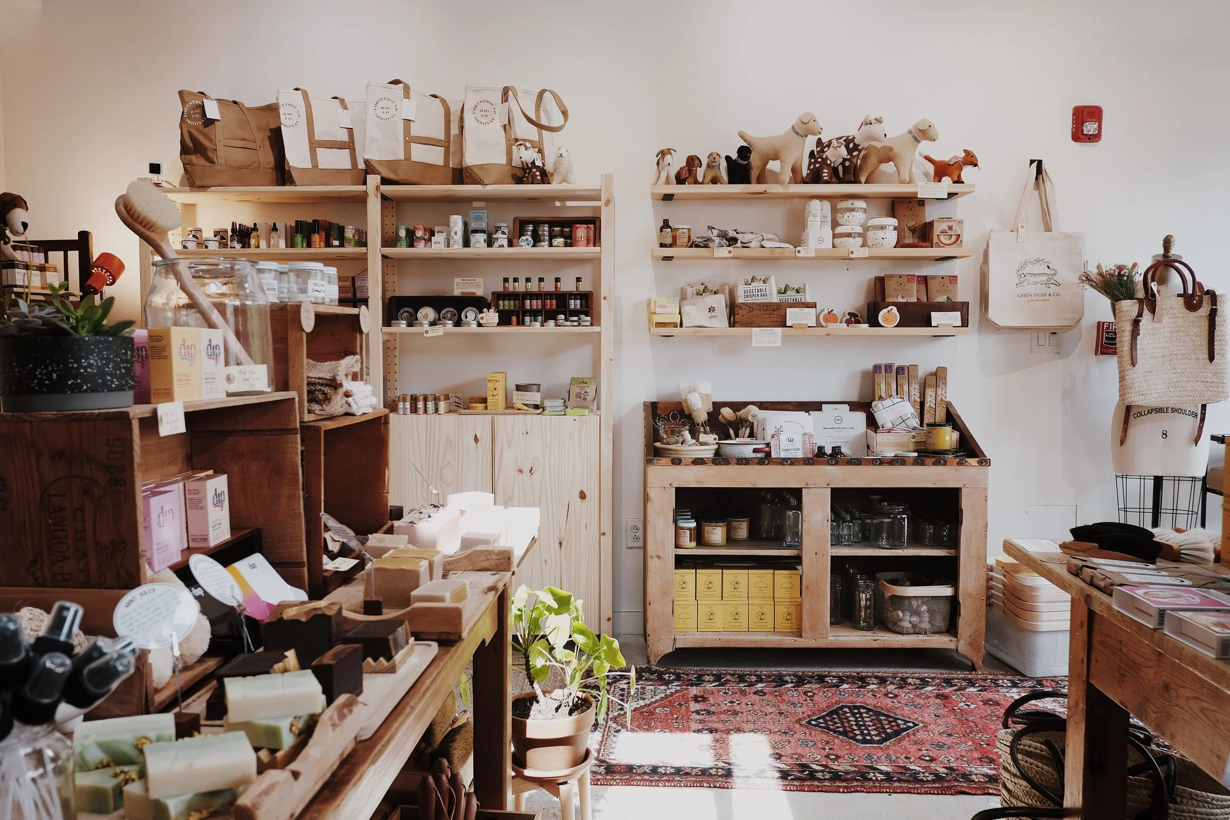 C2875B93-4934-4904-9914-809A0454B8E4-13781-000001DD38A317DE Edited.jpeg