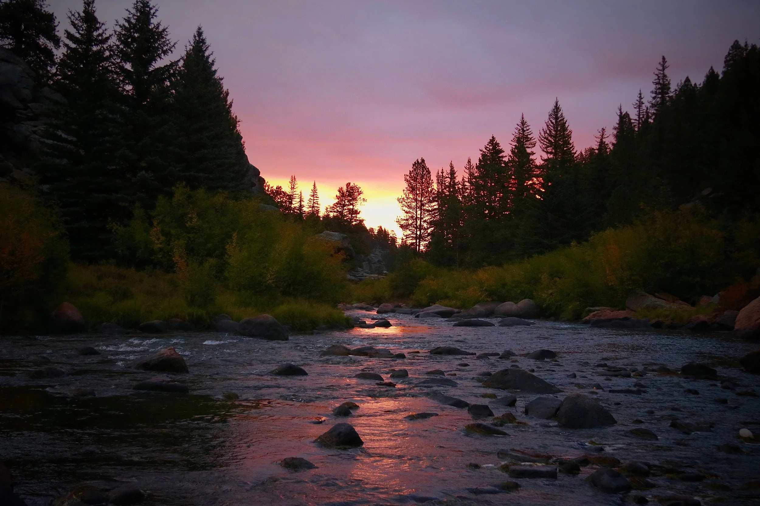 Dawn