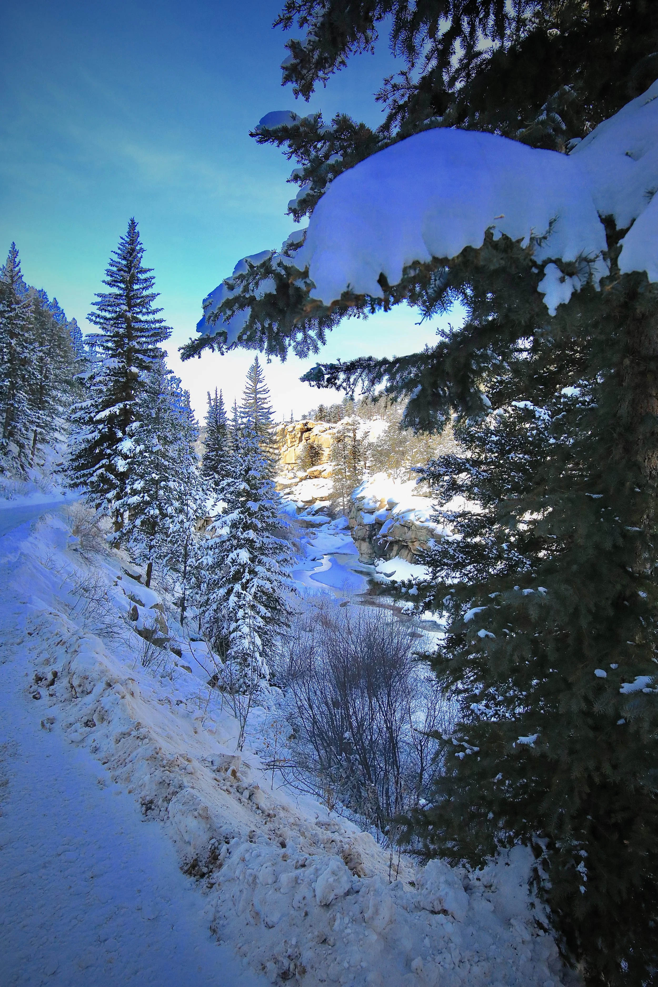Winter Canyon