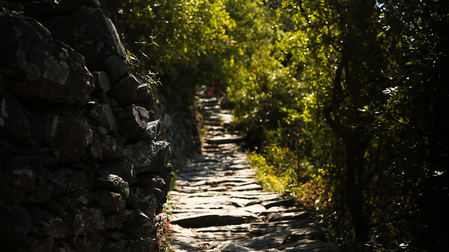 path.jpg