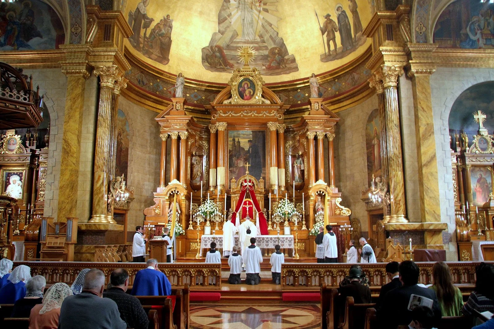 Cantius.jpg