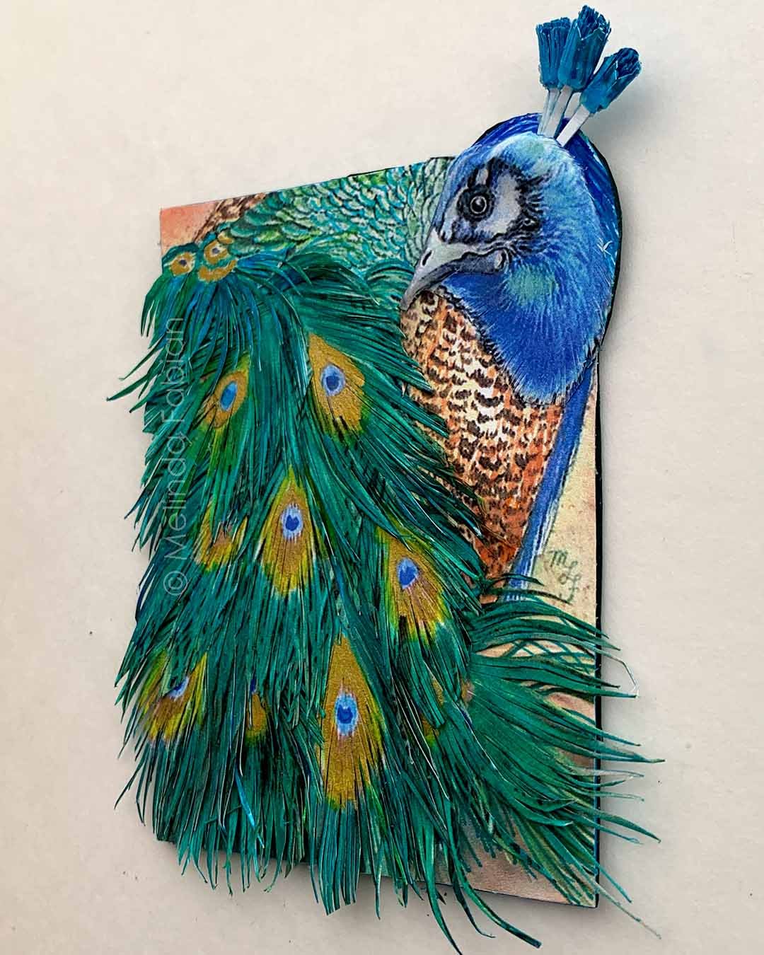 Paper_Peacock_Melinda_Fabian_.2.jpg