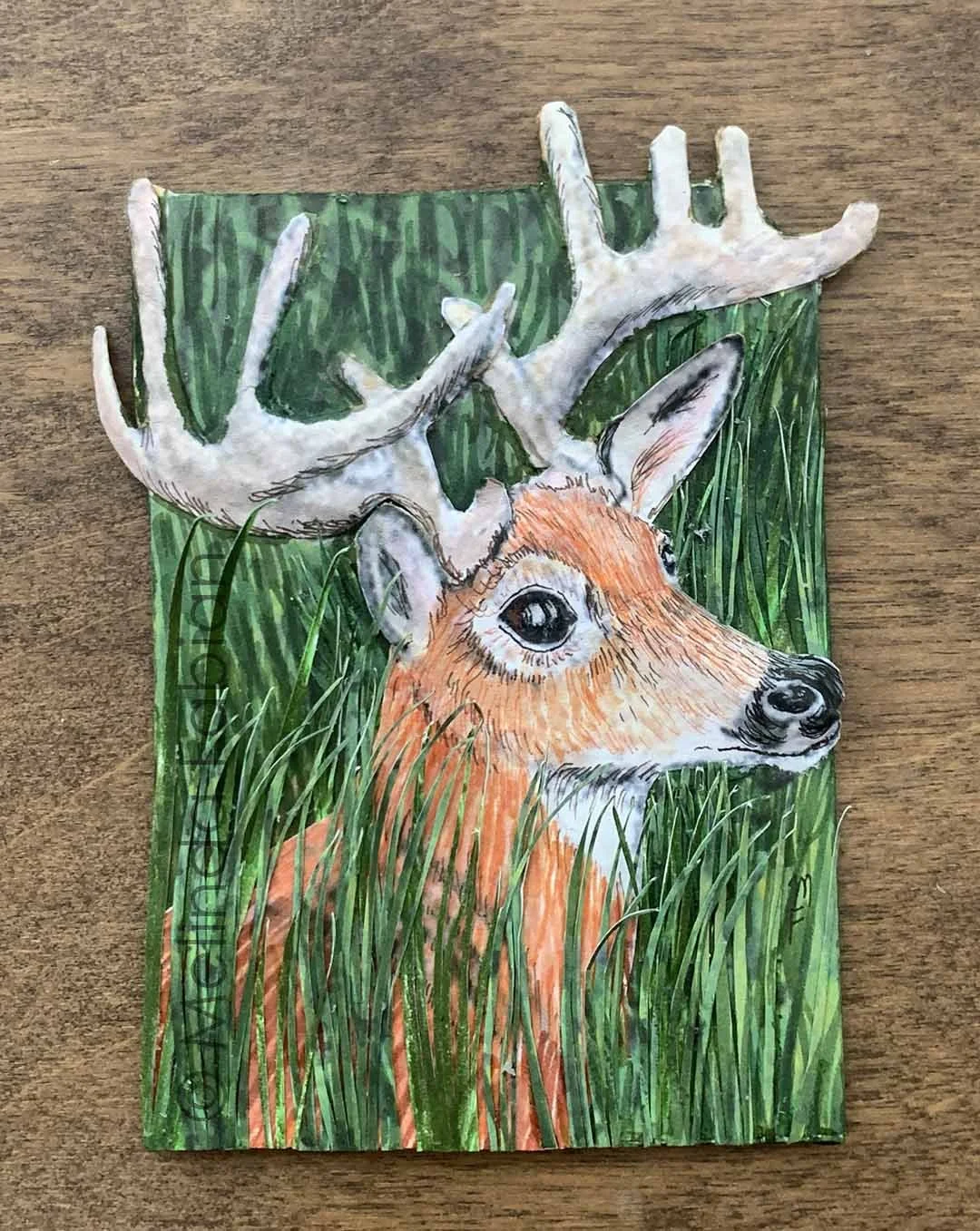 Deer_Buck_3D_Prints_Melinda_Fabian_3.jpg