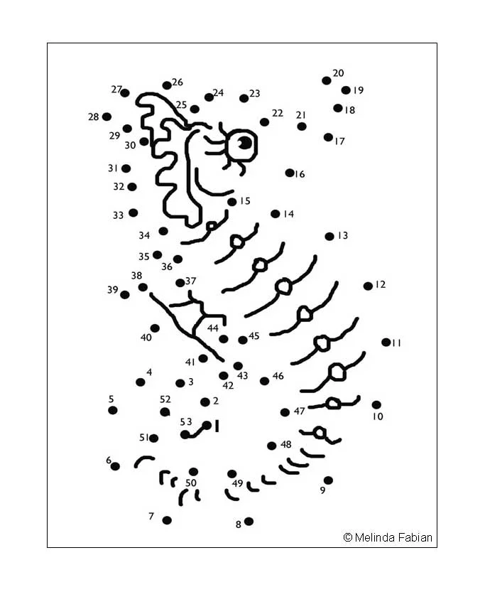 A Seahorse - Follow the Dots