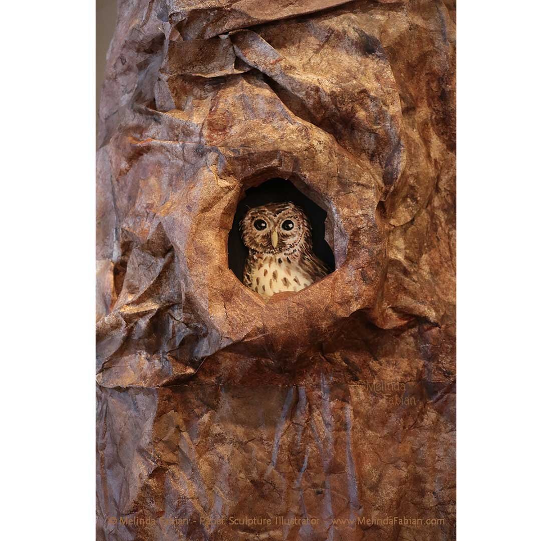 Owl_Melinda_Fabian_Paper_Sculpture_Illustrator_3.jpg