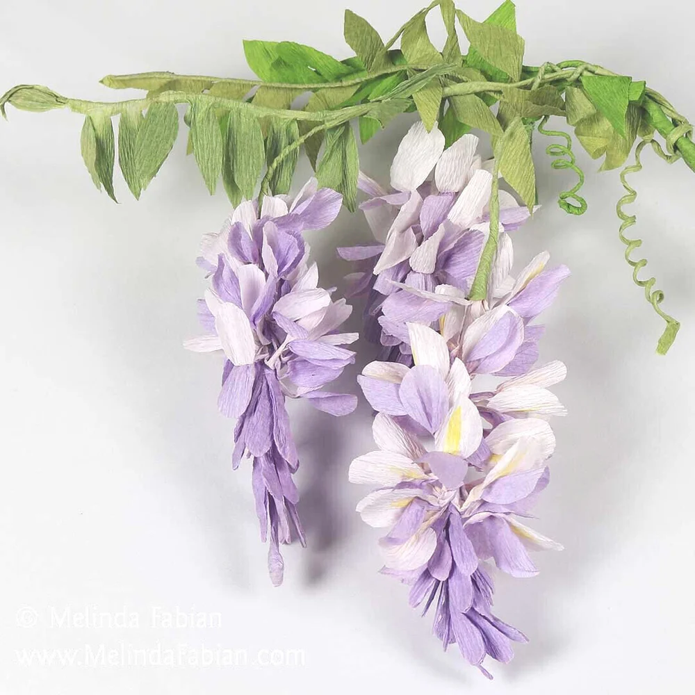 Wisteria Flower
