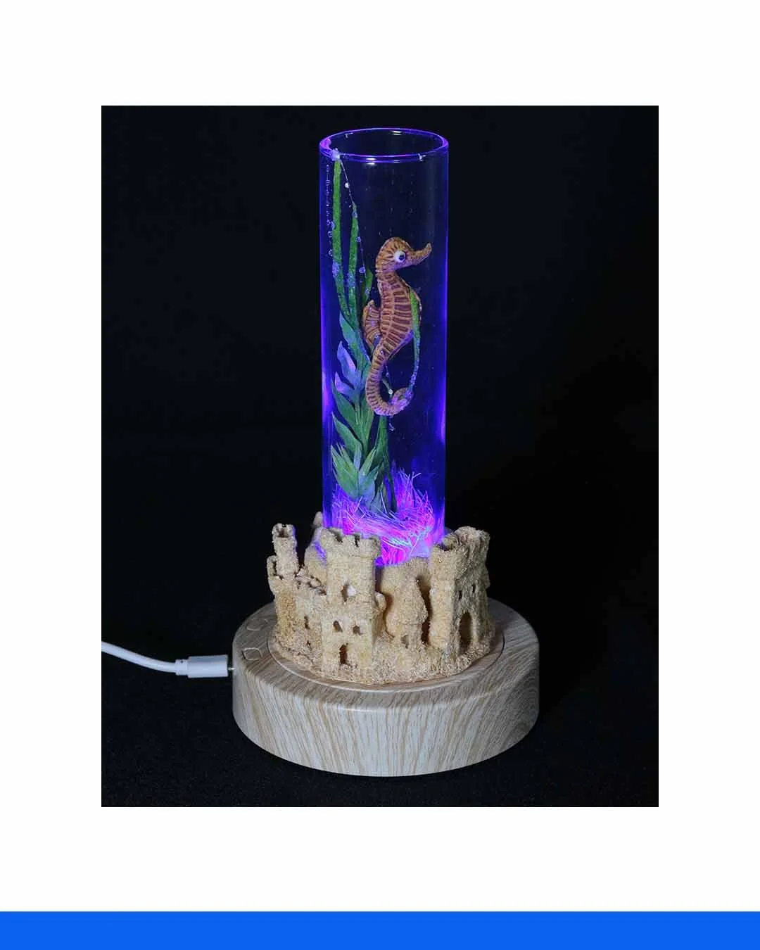 Paper_Sculpture_Seahorse_Melinda_Fabian_ABCc.jpg