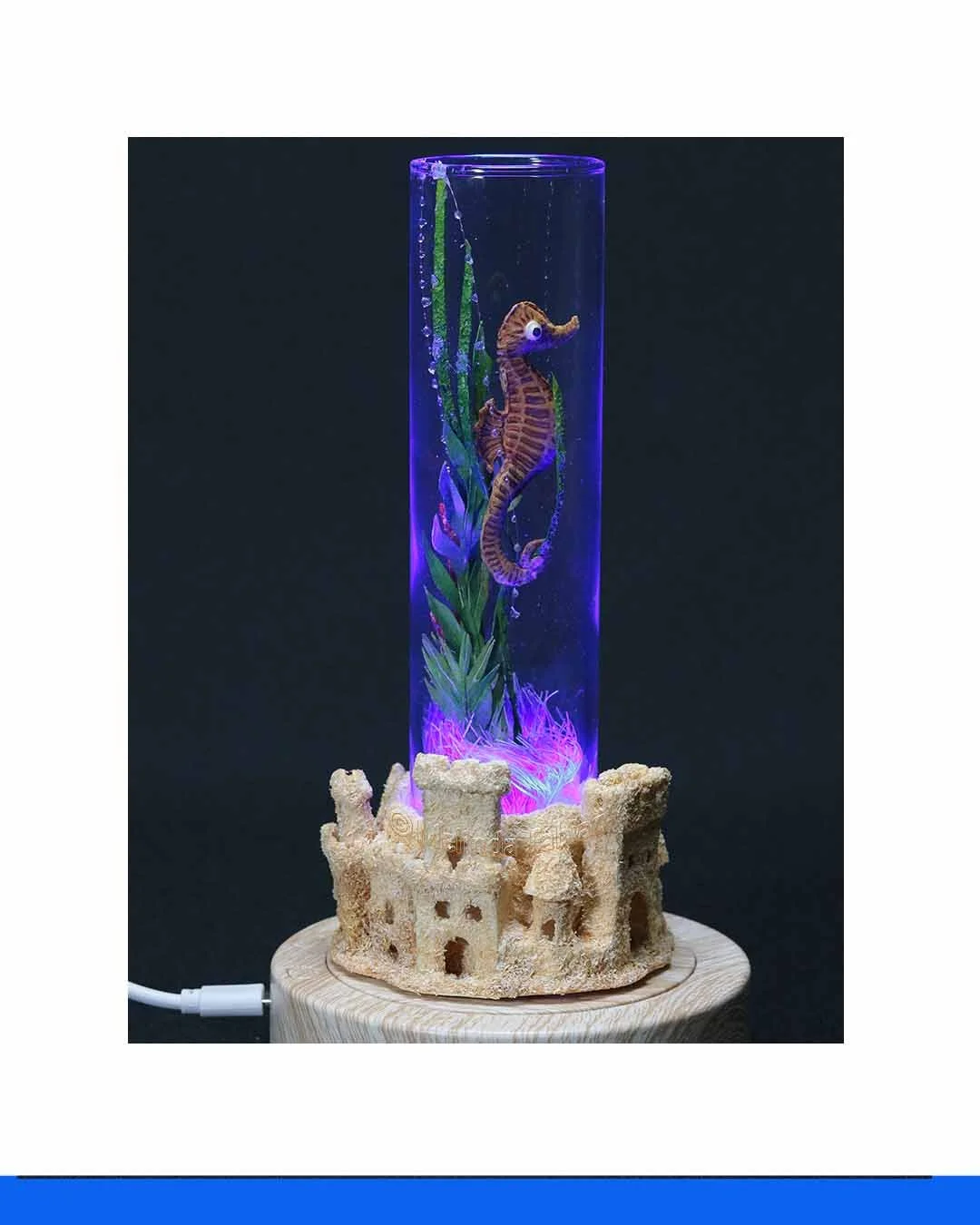 Paper_Sculpture_Seahorse_Melinda_Fabian_BCDdEeFfG.jpg