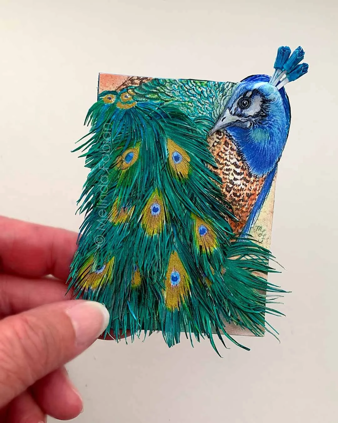Paper_Peacock_Melinda_Fabian_.3.jpg