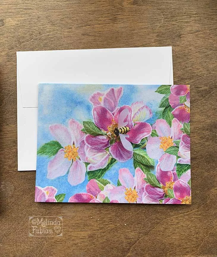 Flower_Ants_Bees_Dogwood_Note_Cards_Melnda_Fabian_Illustrator.jpg