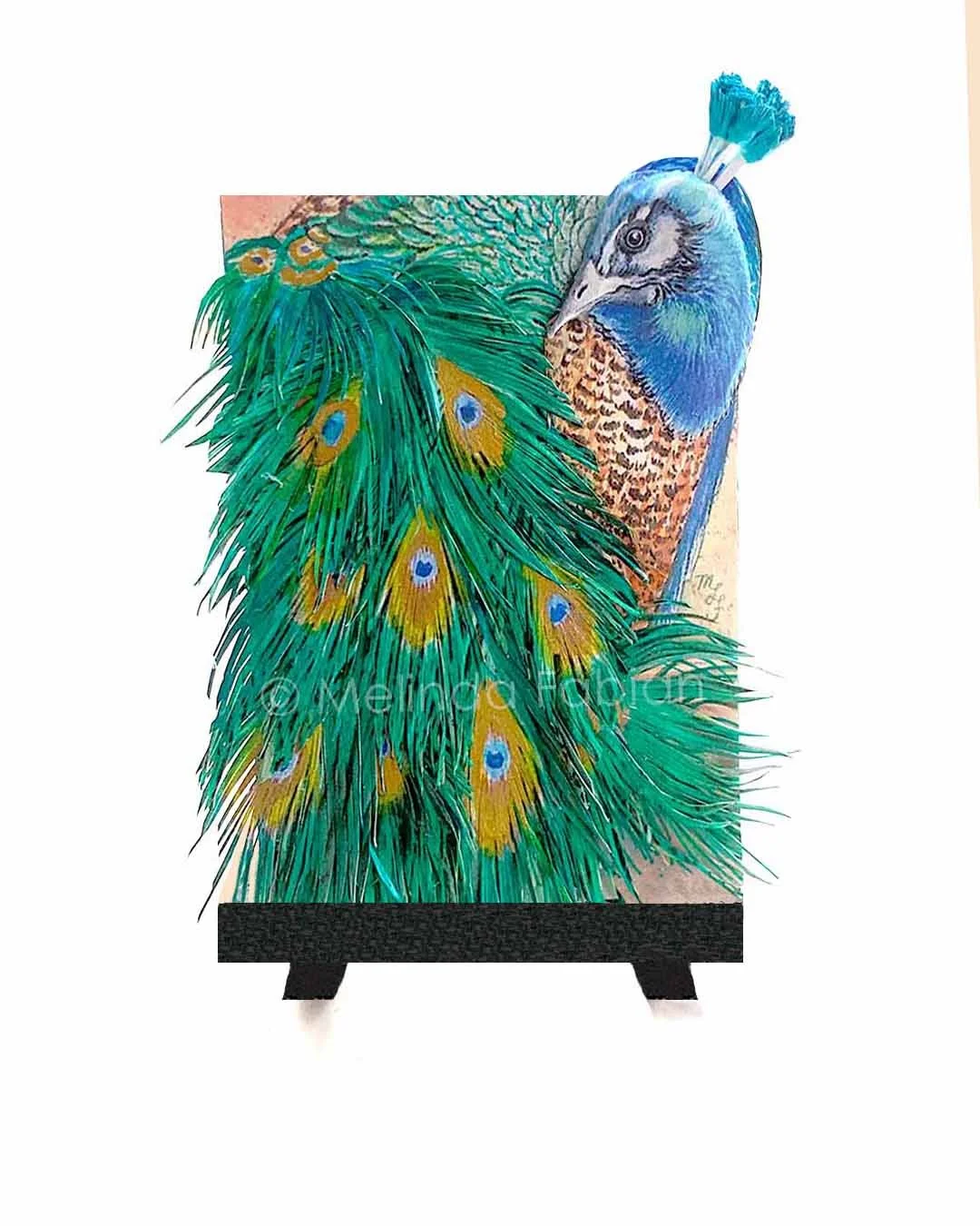 Paper_Peacock_Melinda_Fabian_.4B.jpg