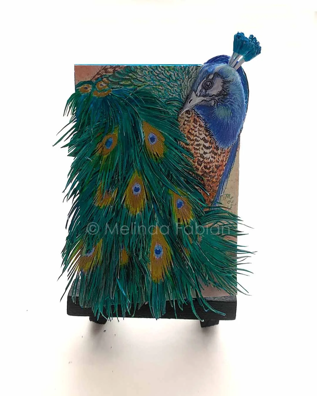 Paper_Peacock_Melinda_Fabian_.4.jpg