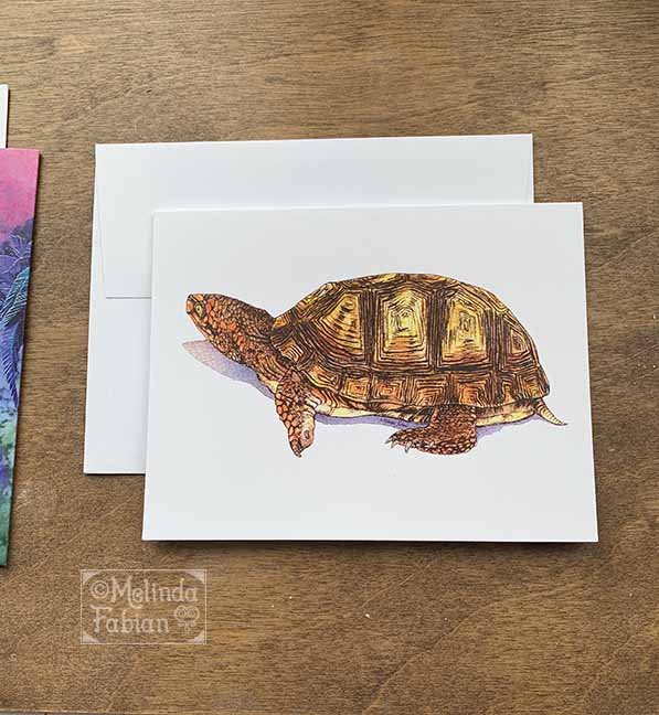 Turtle_NOTE_CARDS_Melinda_Fabian_Illustrator.jpg