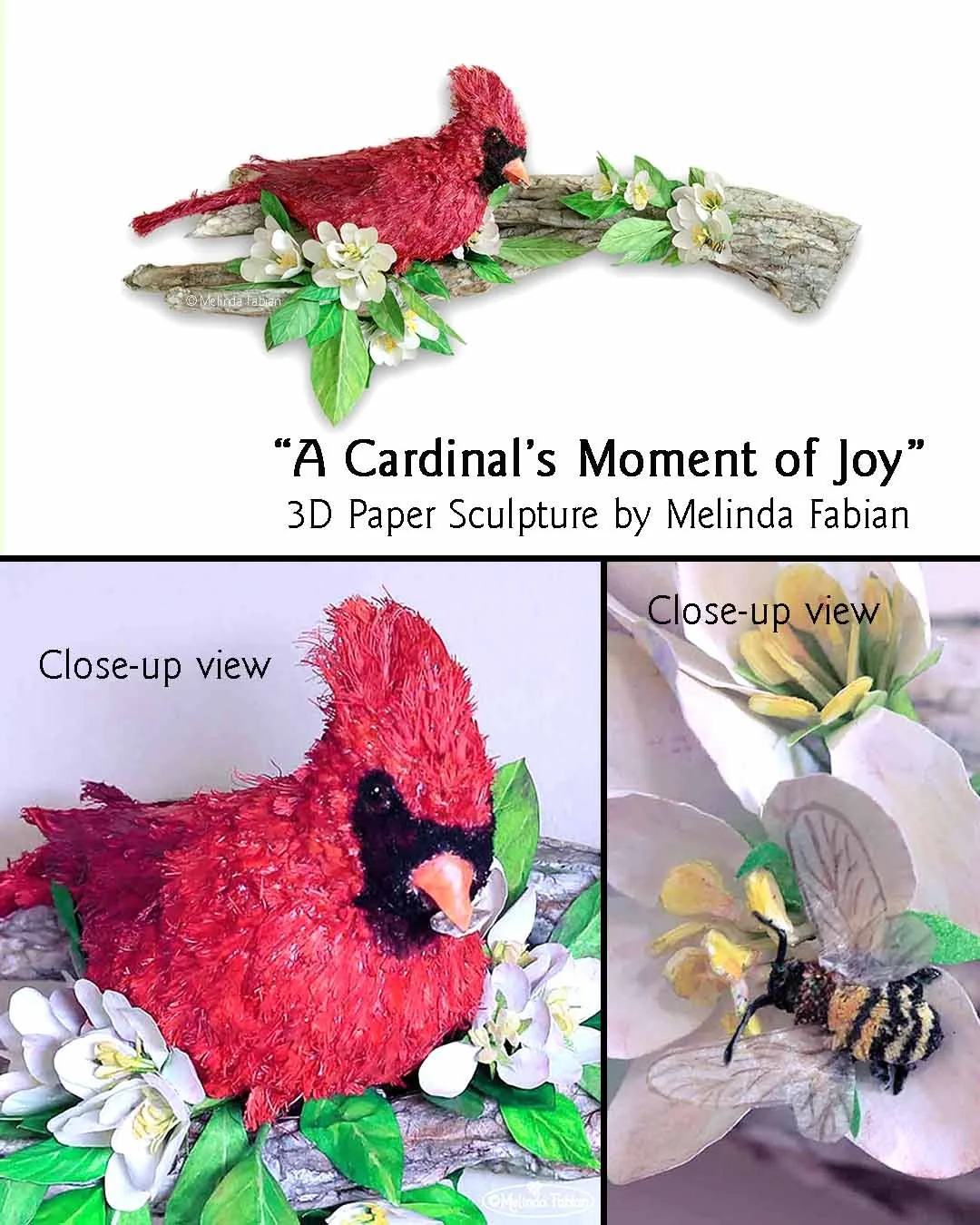 Cardinals_Moment_of_Joy_CLose_UP_Melidna_Fabian_Paper_1 copy3.jpg
