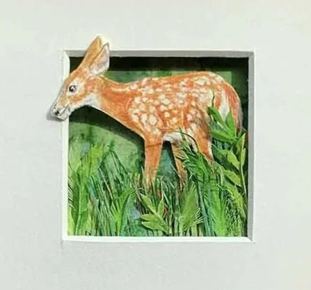 Square Art Framed Fawn Paper Sculpture