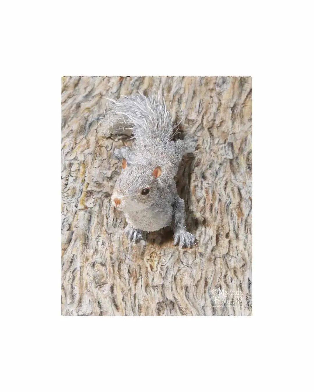 Paper_Sculpted_Squirrel_Melinda_Fabian_Illustrator_4b.jpg