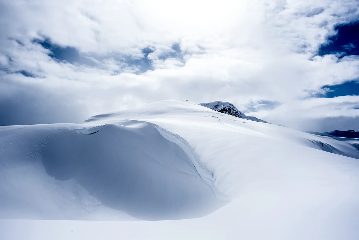 _DSC5248_web.jpg