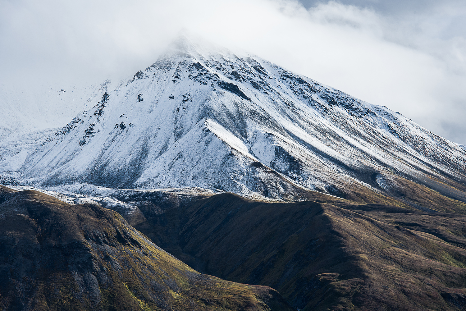 _DSC2438_WEB.jpg