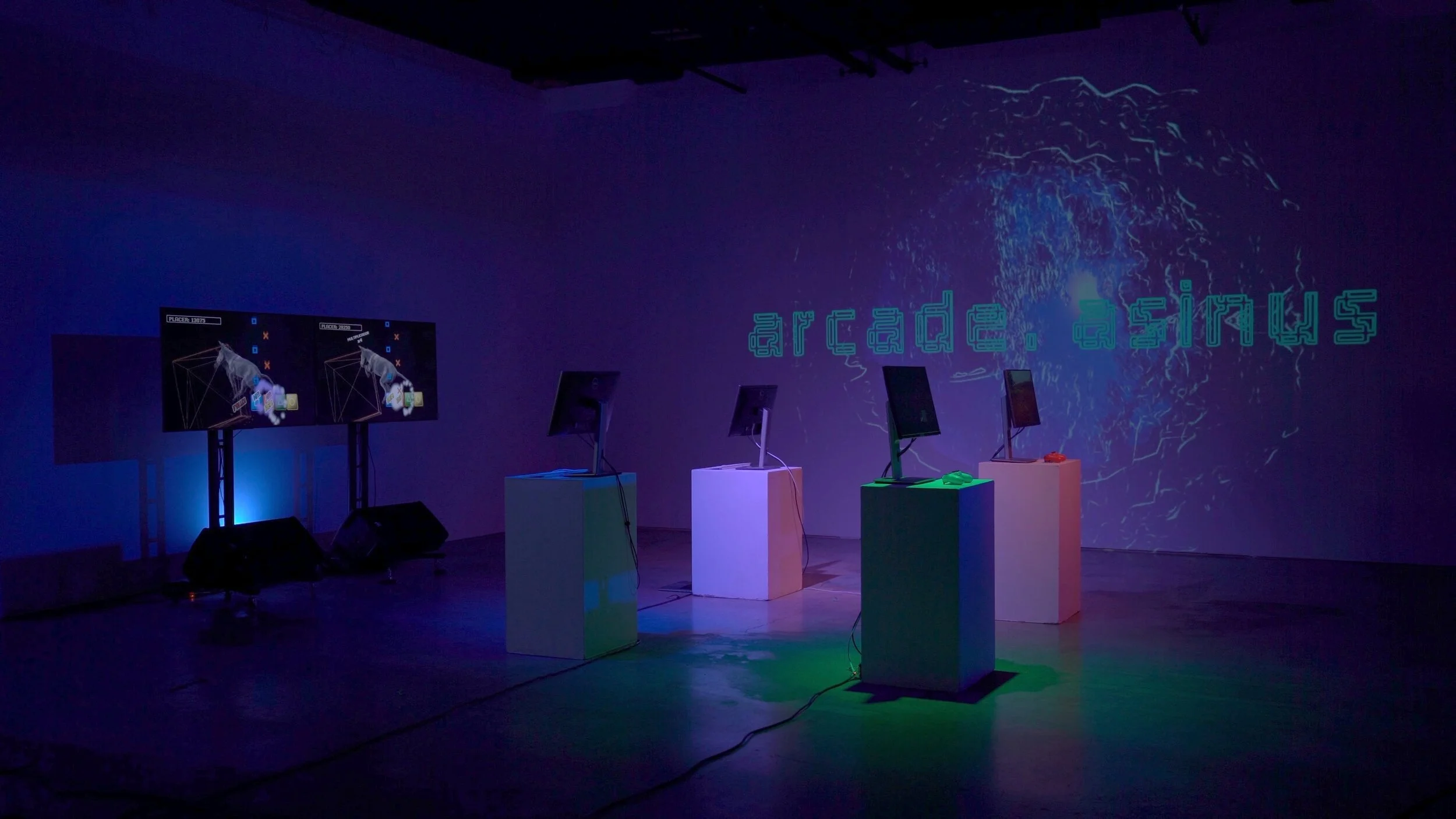 arcade.asinus [in-development]