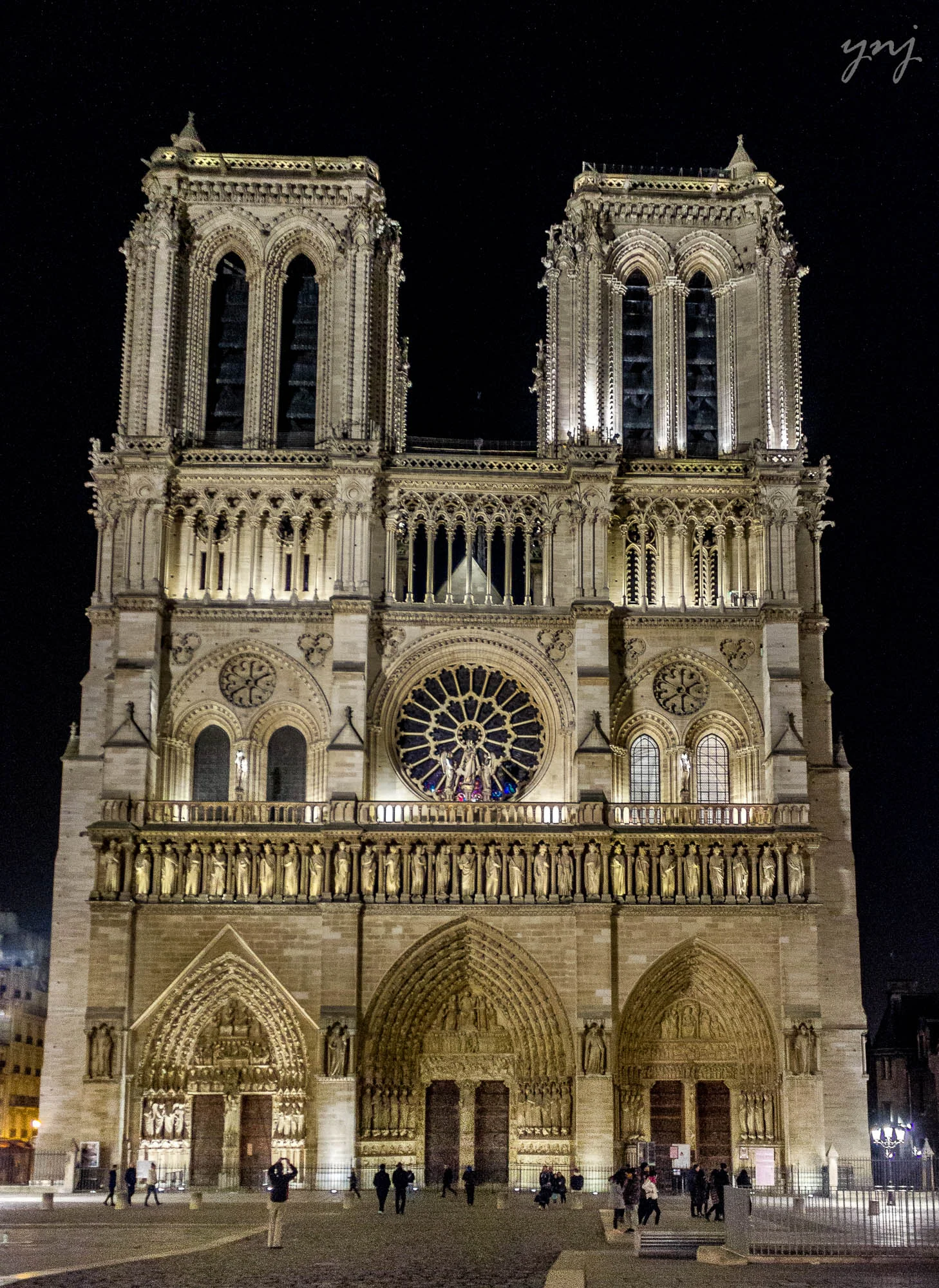 IMG_7050_ltr_flr.jpg