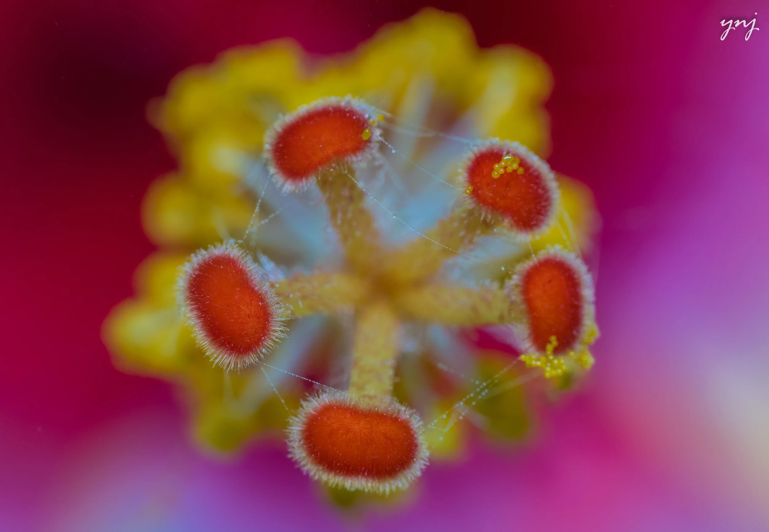 032A0590_ps_ltr_flr.jpg