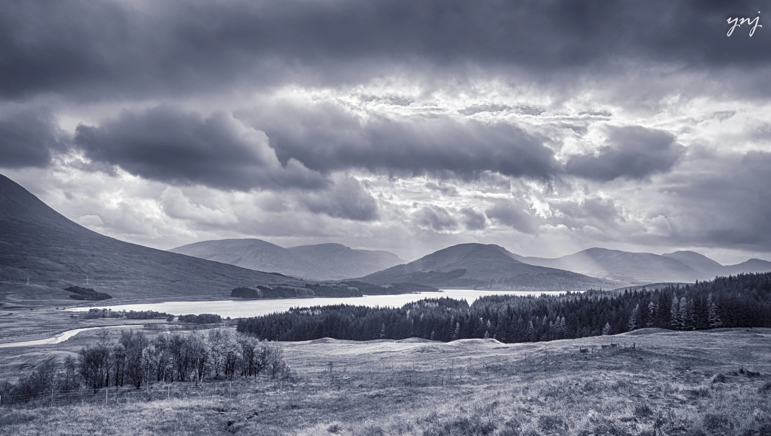 YJ1_8662_HDR_ltr_flr.jpg