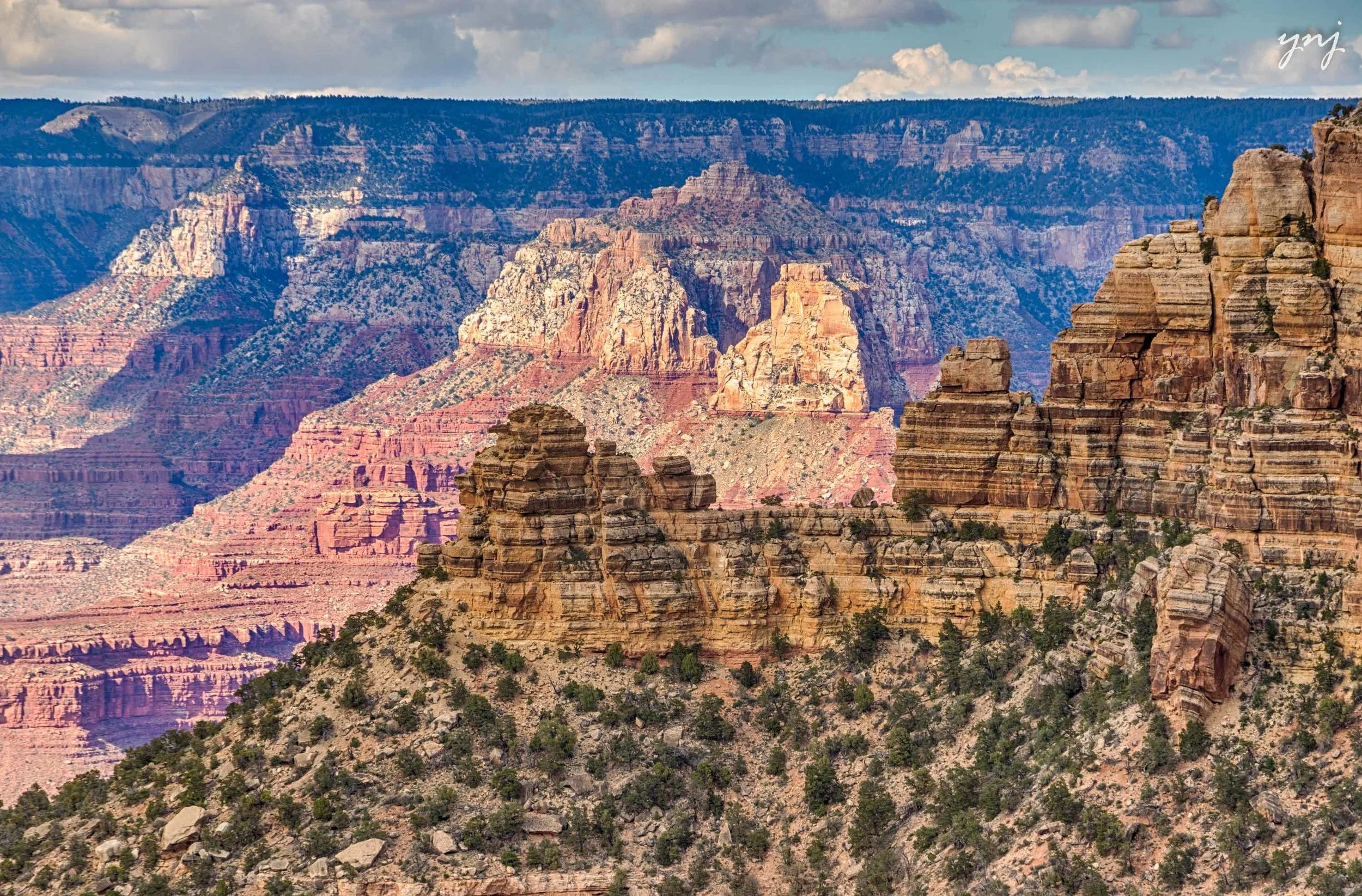 YJ1_9624_HDR_ltr_flr.jpg