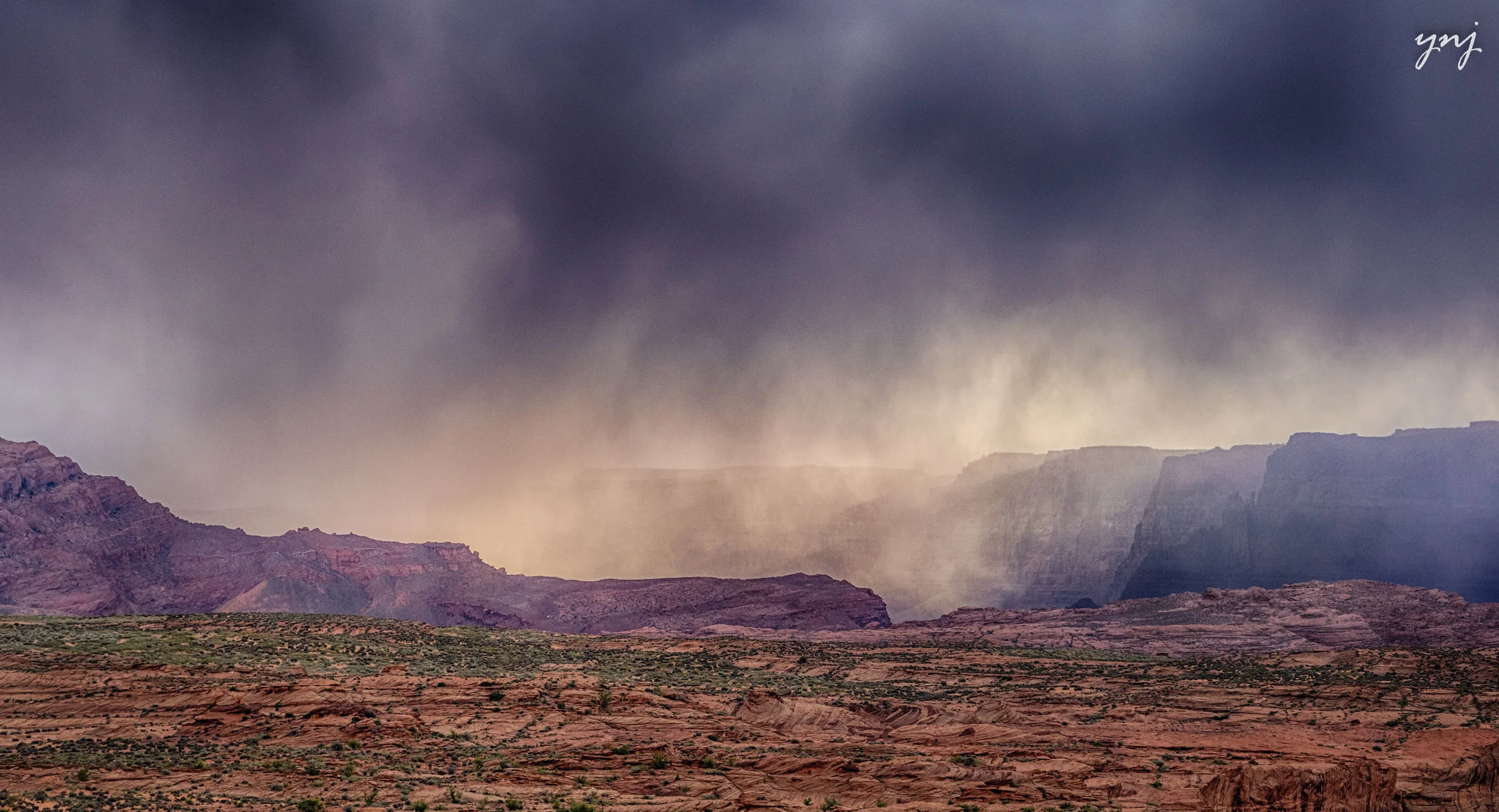 YJ1_9144_HDR_ltr_flr.jpg