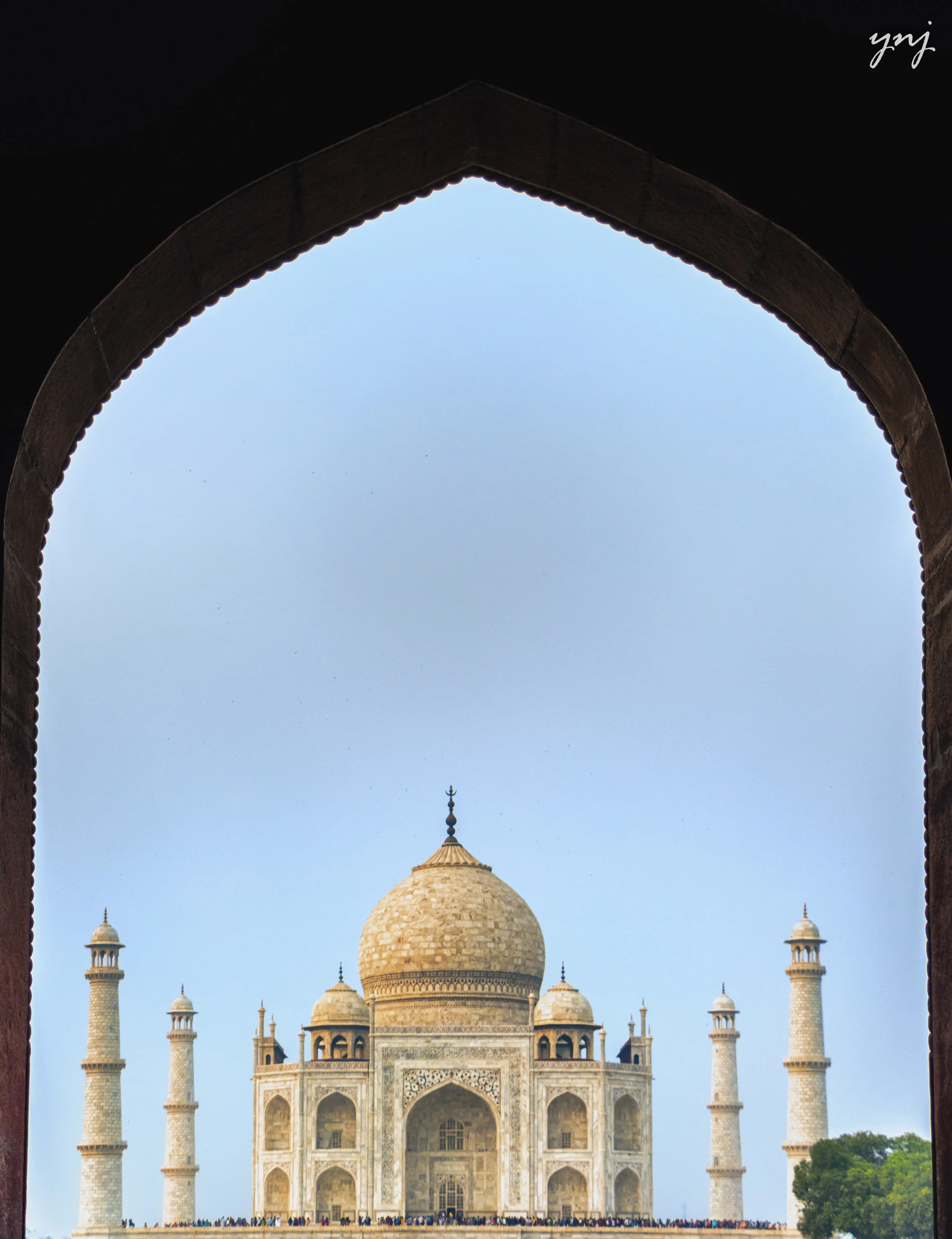 YJ1_2279-Edit_ltr_flr.jpg