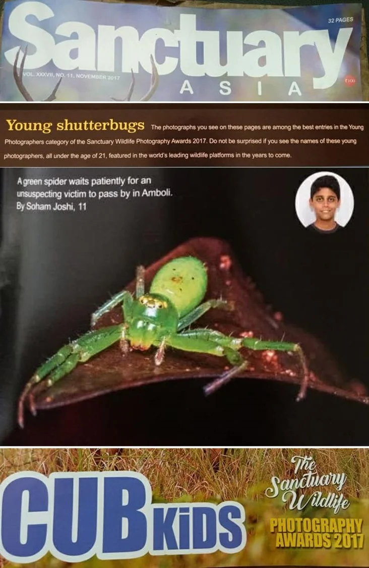 Soham_Sanctuary_2017_Young_Award.jpg