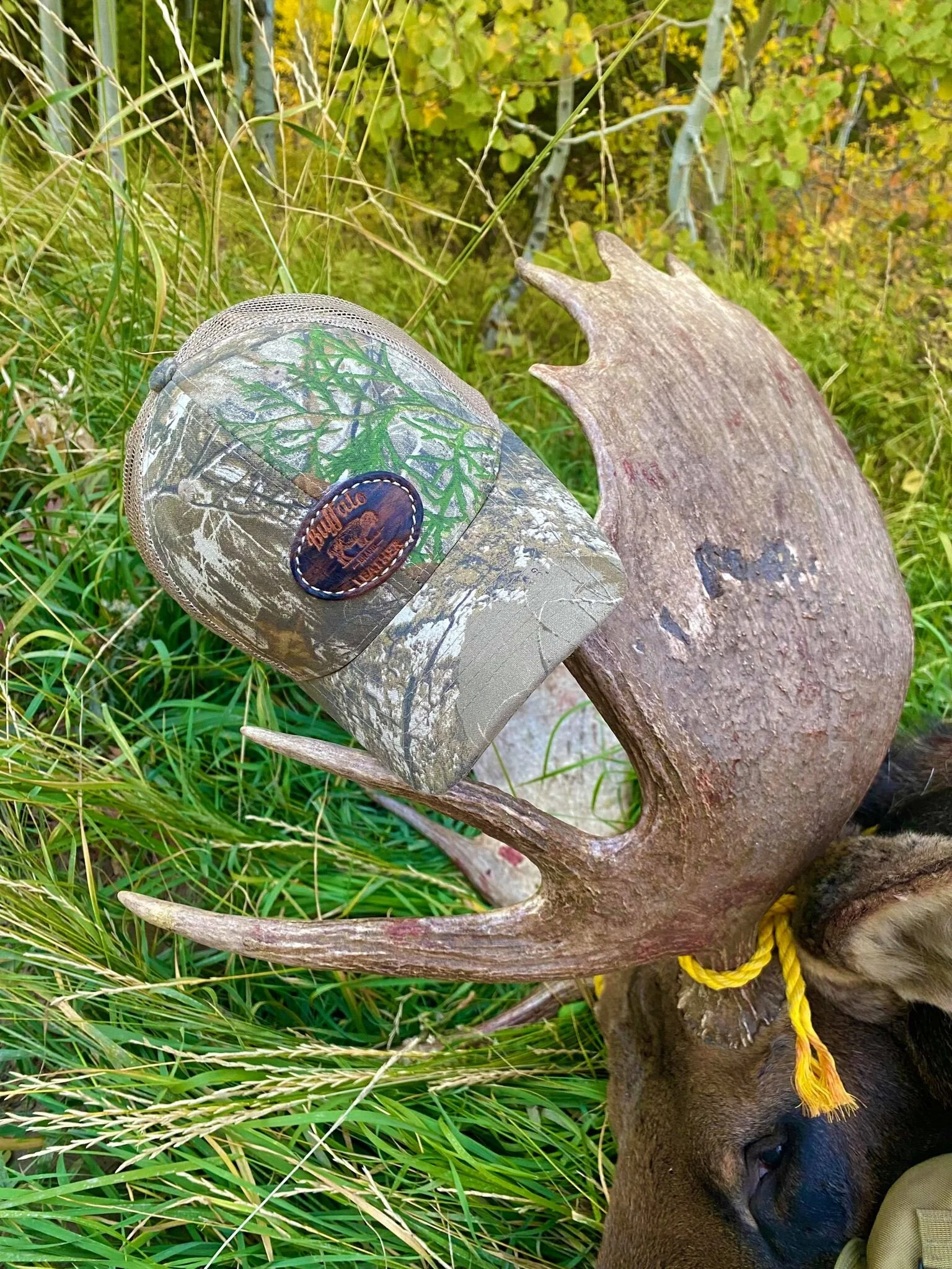 hat 1.jpg