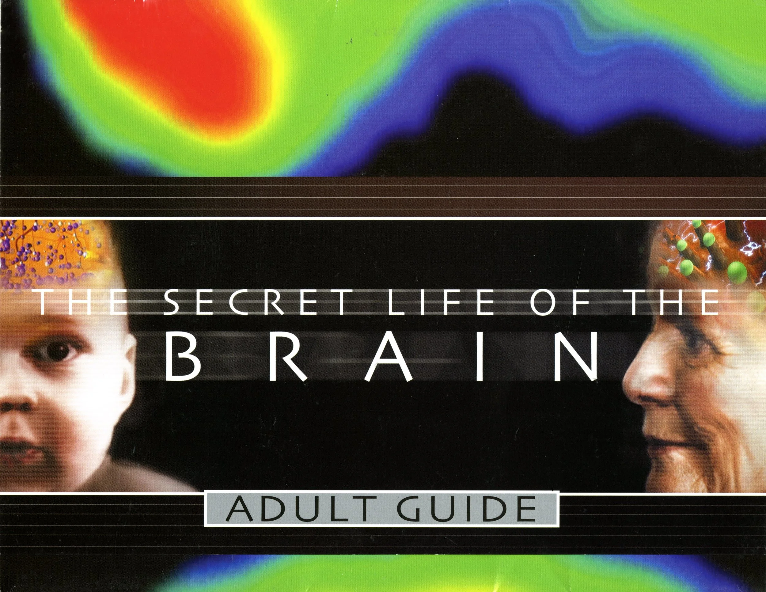 Assistant Editor Credit, The Secret Life of the Brain - Adult Guide 2002