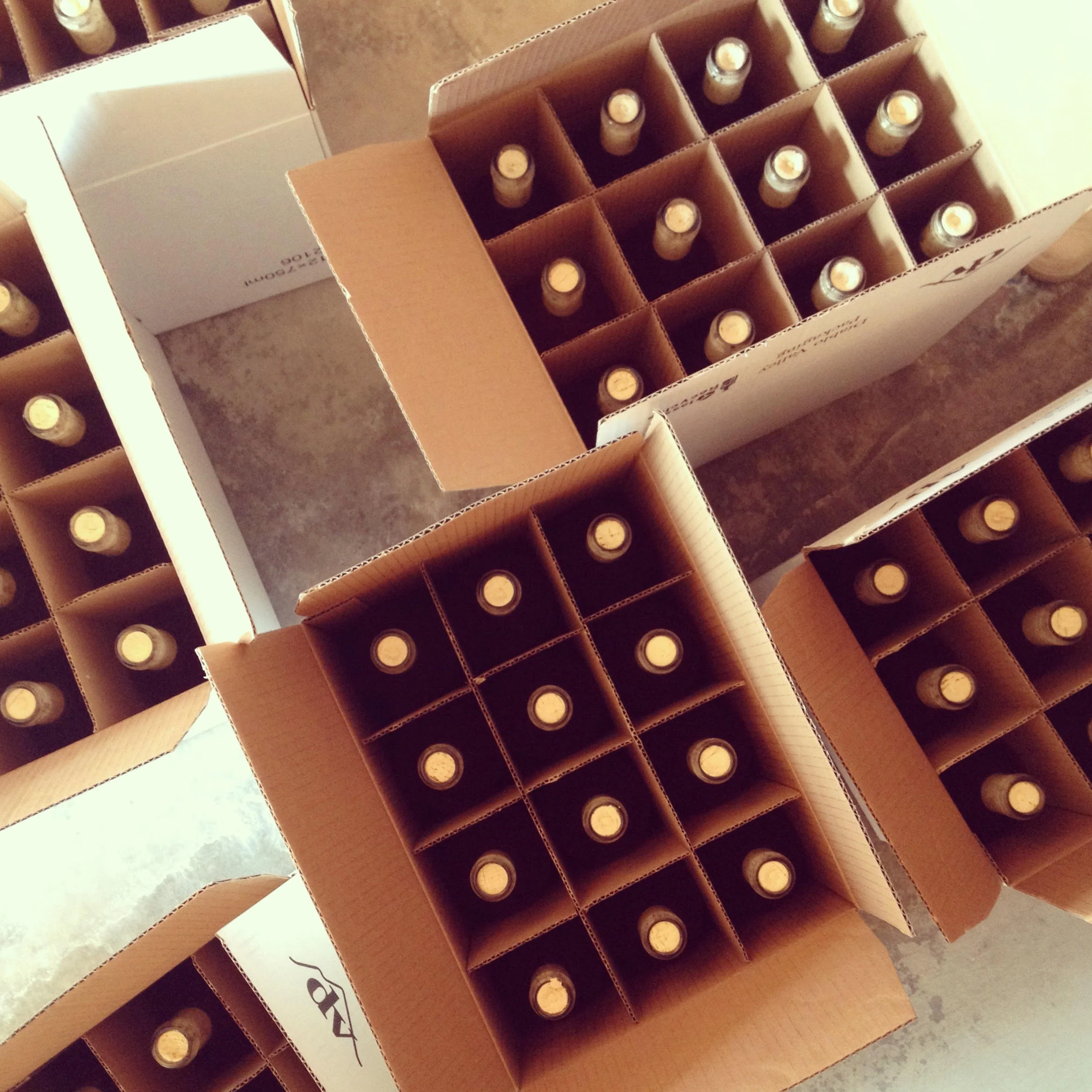 bottles.jpg