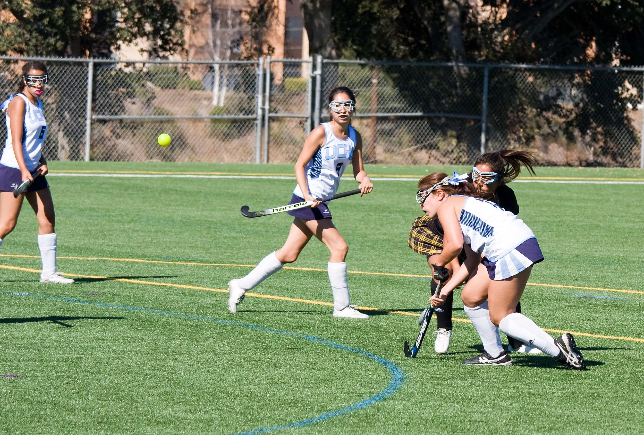 IMG_2243 v1.jpg