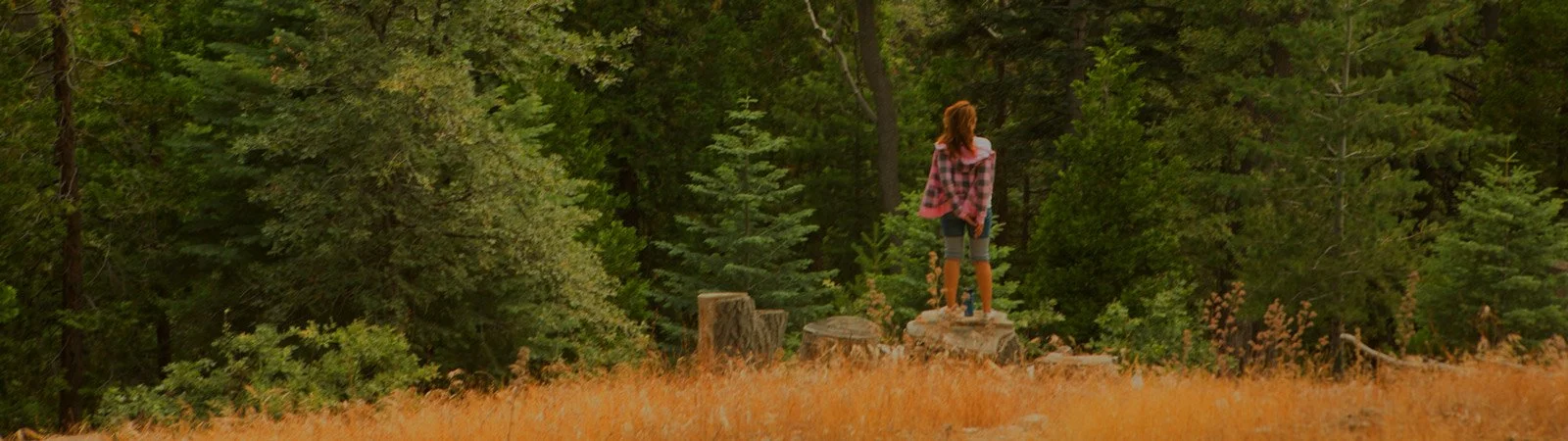 Mundos Interiores de la Meditación 