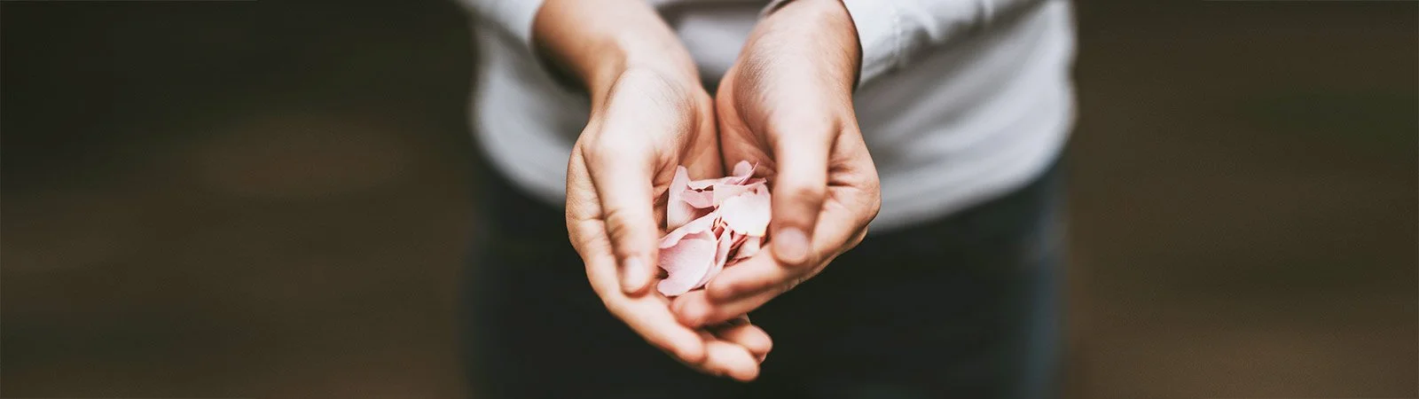 Los Principios Espirituales de Abundancia y Prosperidad