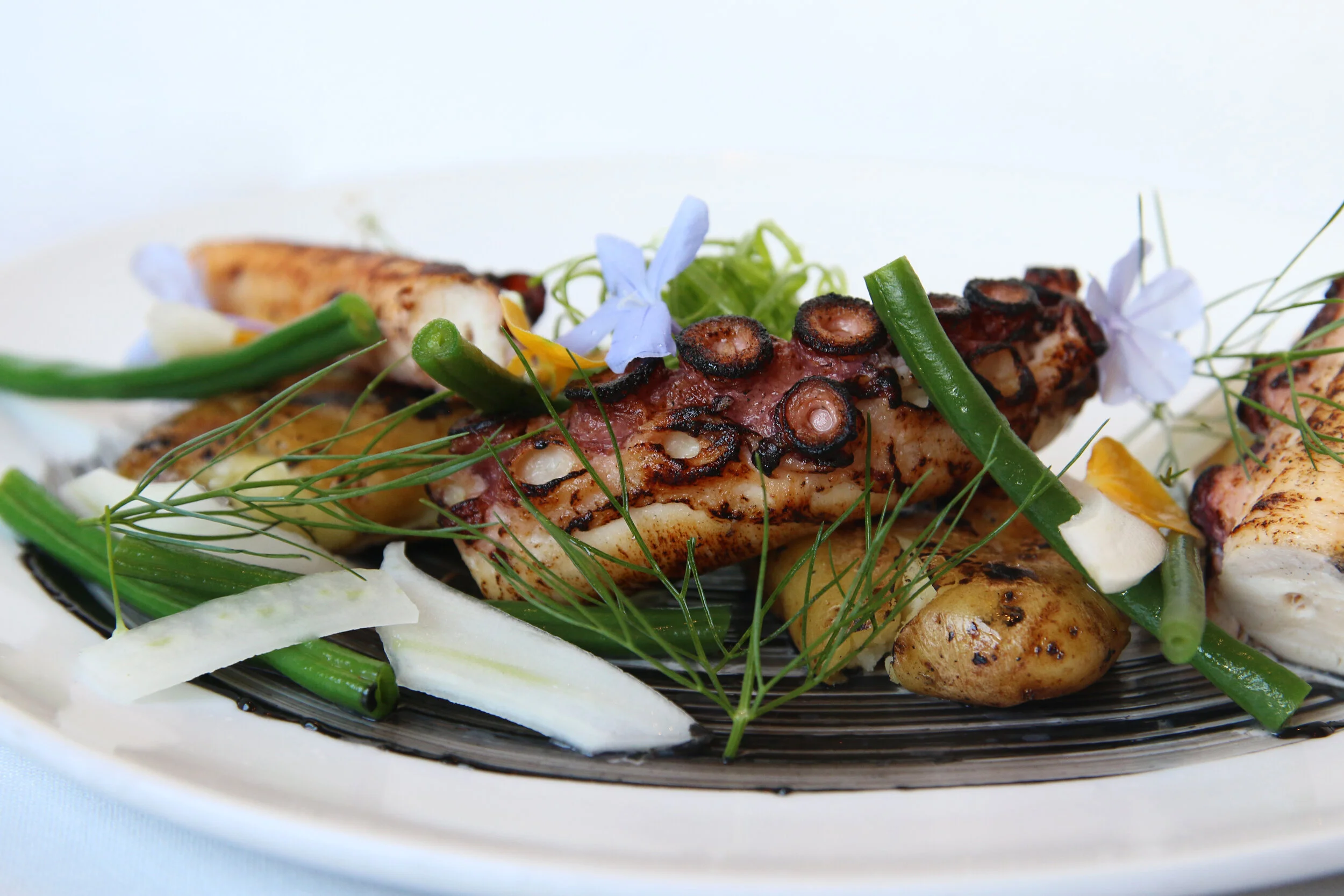 main lunch octopus-white-background.JPG