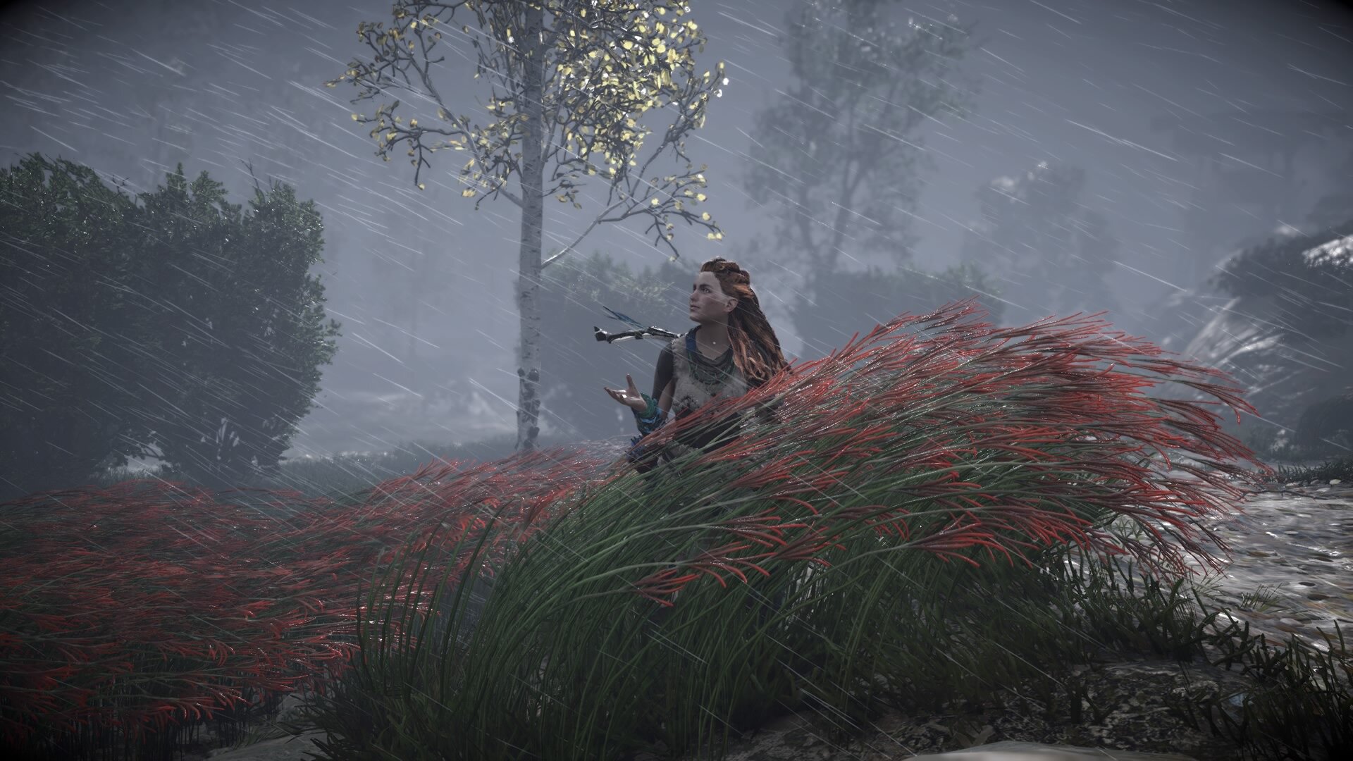 Horizon Zero Dawn™_20170303221812.jpg