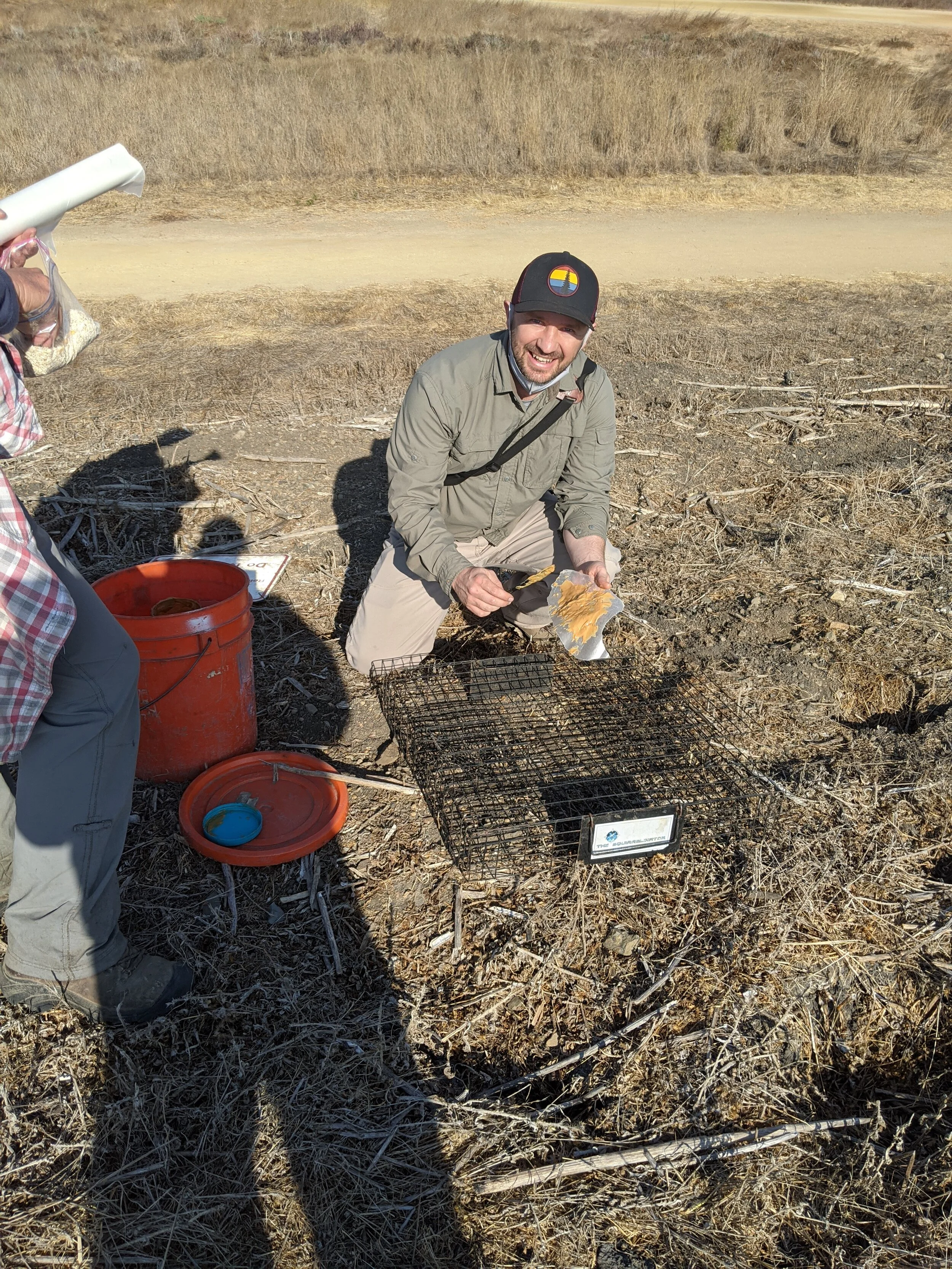 Squirrel relocation.jpg