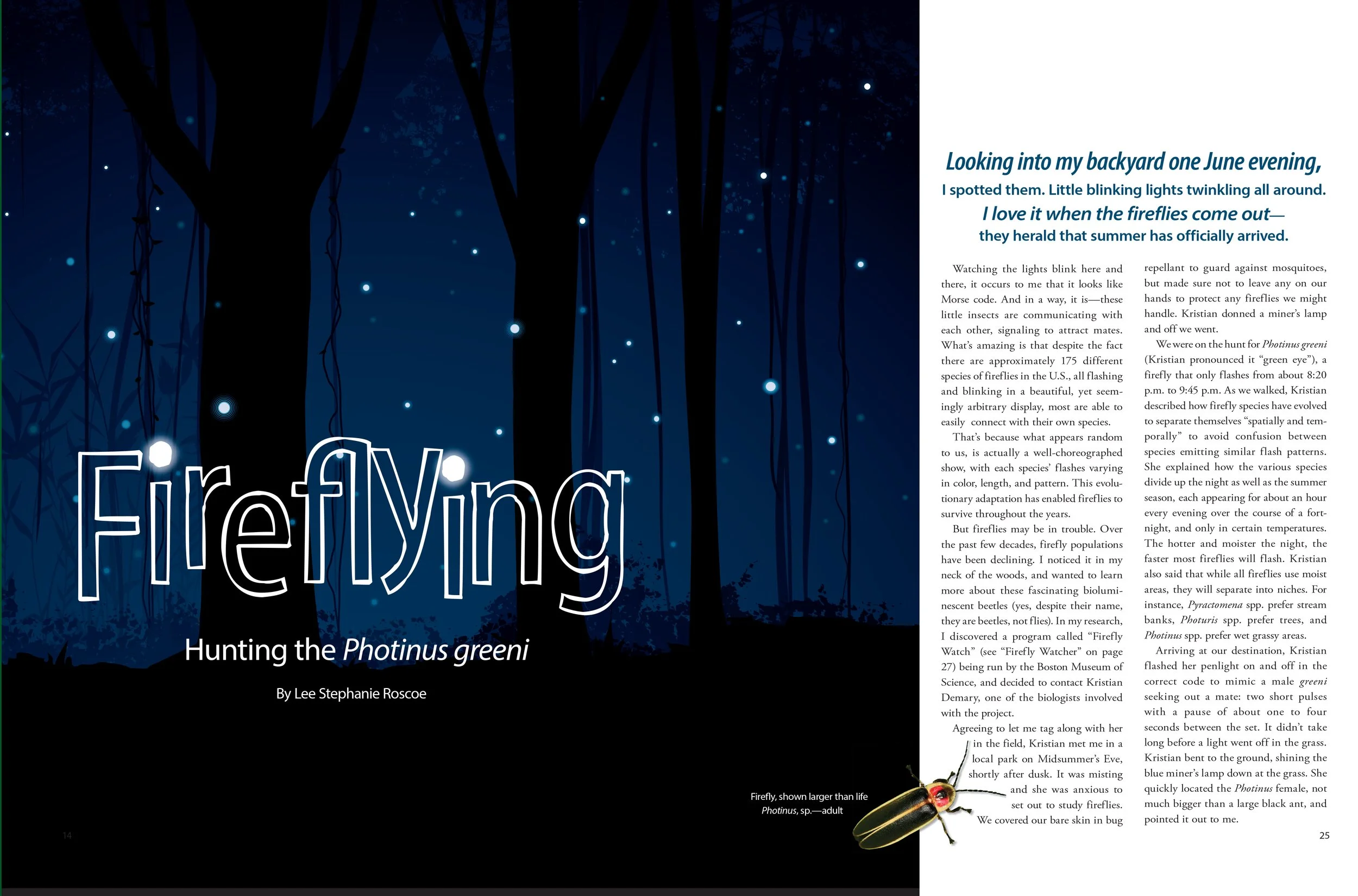 fireflies 1.jpg