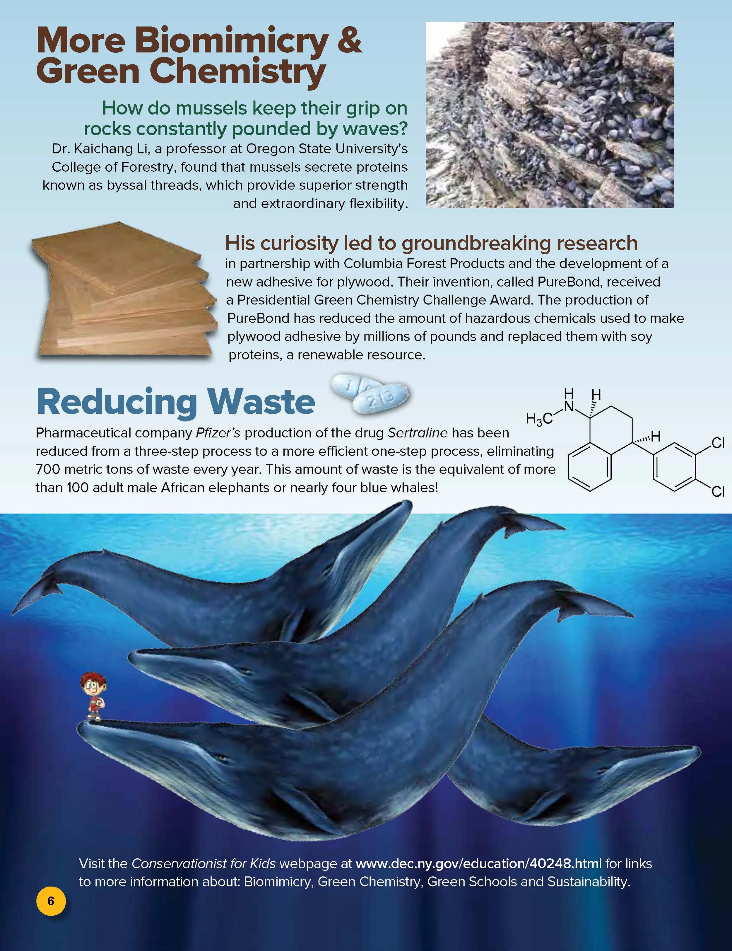 Green Chemistry whales.jpg