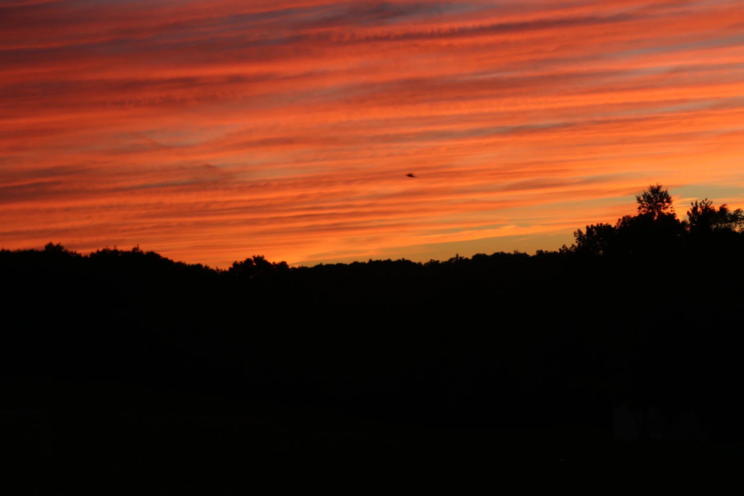 IMG_5874.jpg