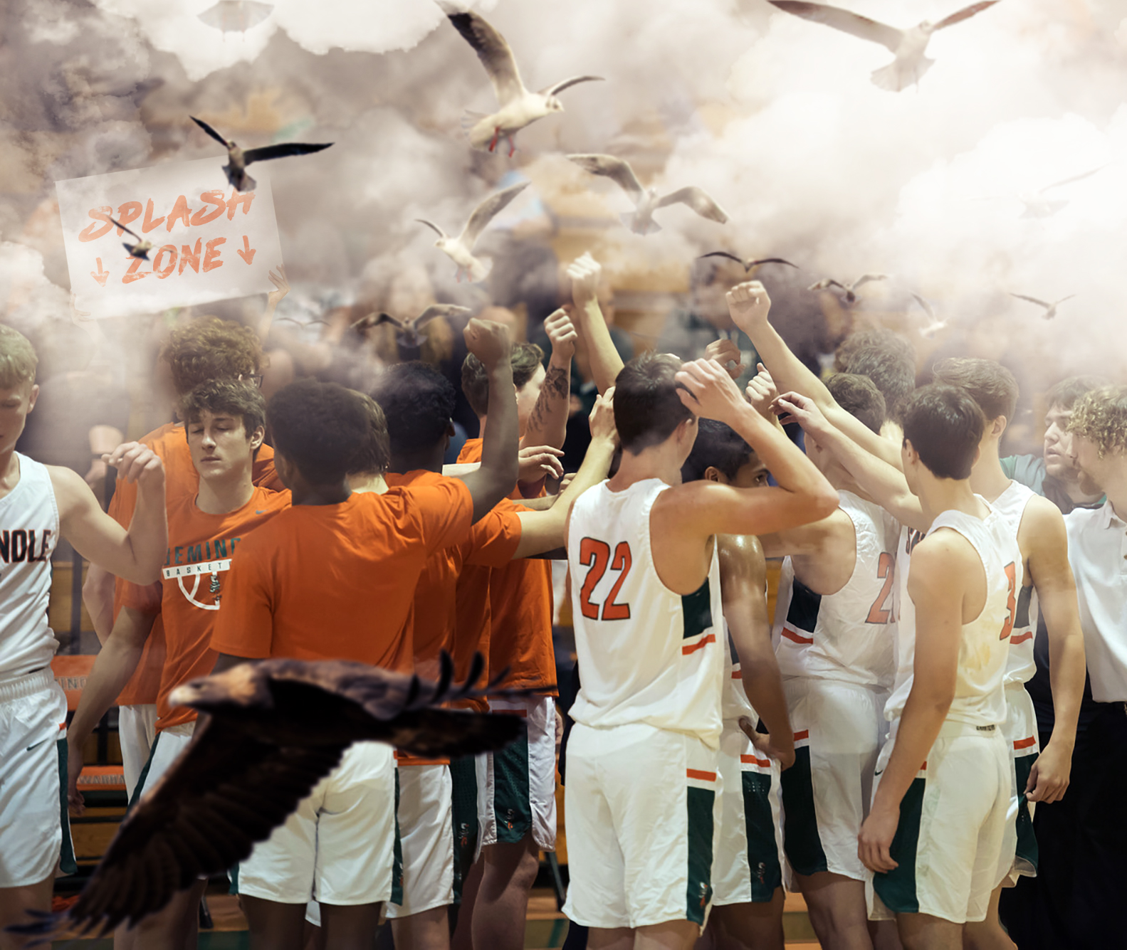 hawks-nest.jpg